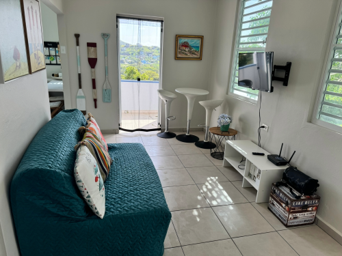 Apartment 2 / Living Room