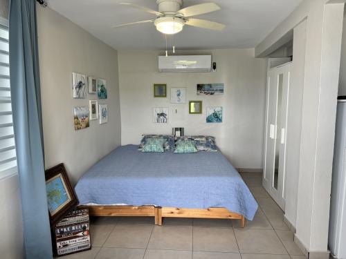 Apartment 1 / Studio